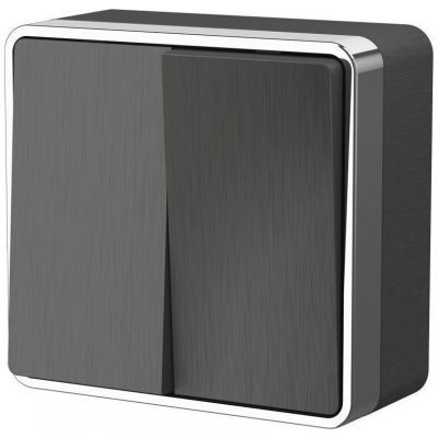 Выключатель двухклавишный Gallant Werkel W5020004 графит рифленый (WL15-03-01)