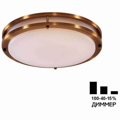 Накладной светодиодный светильник Citilux CL709323N