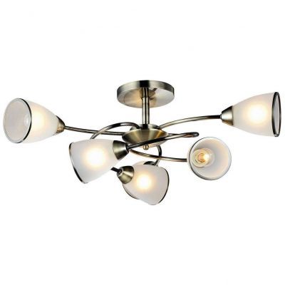 Потолочный светильник Arte Lamp A6059PL-6AB