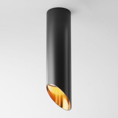 Потолочный светильник Maytoni Technical C044CL-01-25GU10-B Lipari