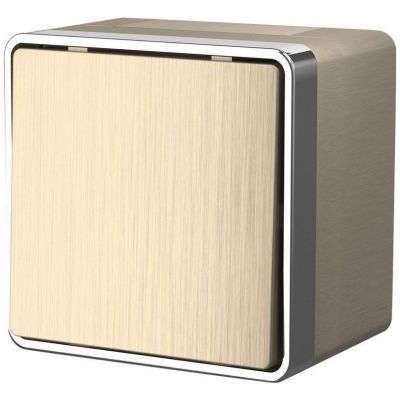 Выключатель одноклавишный влагозащищенный Gallant Werkel W5010210 шампань рифленый (WL15-01-02)