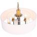 Люстра подвесная ST Luce SL336.303.05