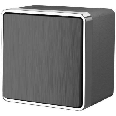 Выключатель одноклавишный влагозащищенный Gallant Werkel W5010204 графит рифленый (WL15-01-02)