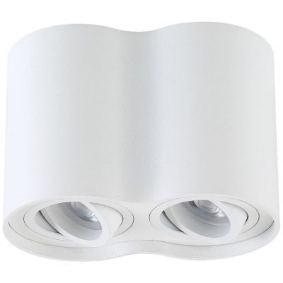 Потолочный светильник Crystal Lux CLT 410C2 WH