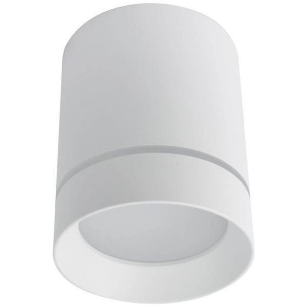 Потолочный светодиодный светильник Arte Lamp A1949PL-1WH
