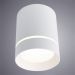 Потолочный светодиодный светильник Arte Lamp A1949PL-1WH