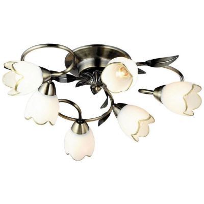 Потолочный светильник Arte Lamp A6061PL-6AB