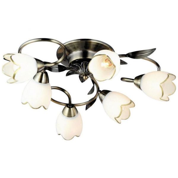 Потолочный светильник Arte Lamp A6061PL-6AB