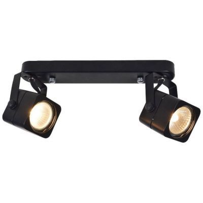 Спот Arte Lamp A1314PL-2BK