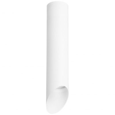 Накладной светильник Lightstar Rullo R49636