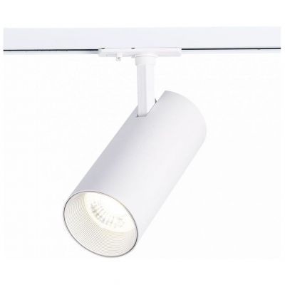 Трековый светильник ST Luce ST350.546.30.24