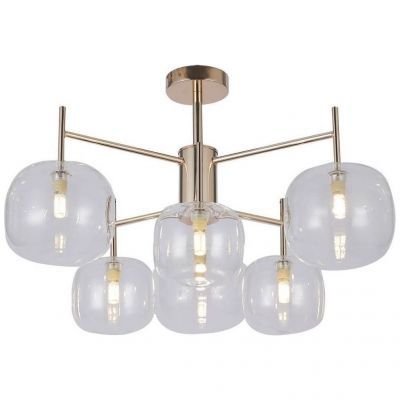 Потолочная люстра F-Promo Beaker 2976-6P