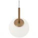Подвесной светильник Maytoni Basic form MOD321PL-01G1