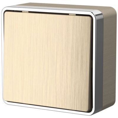 Выключатель одноклавишный проходной Gallant Werkel W5012010 шампань рифленый (WL15-01-03)