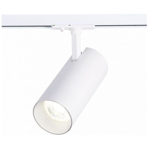 Трековый светильник ST Luce ST350.546.30.36