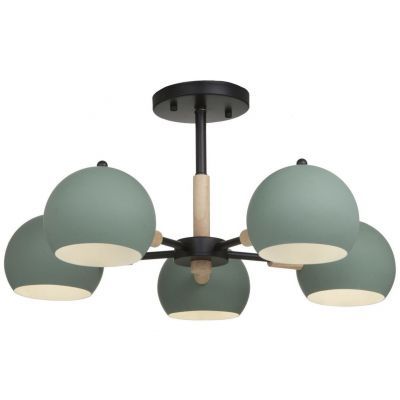 Потолочная люстра Freya Trisha FR5032CL-05B