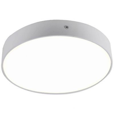 Потолочный светодиодный светильник Favourite Flashled 2065-30C