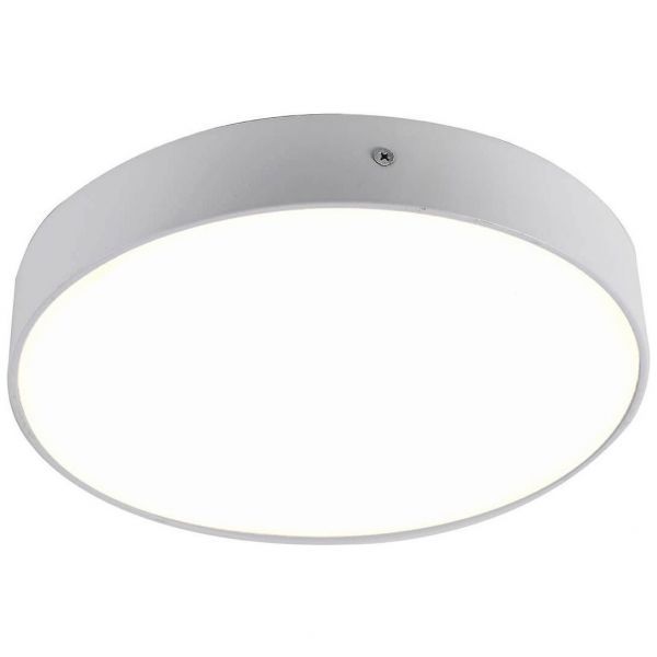 Потолочный светодиодный светильник Favourite Flashled 2065-30C