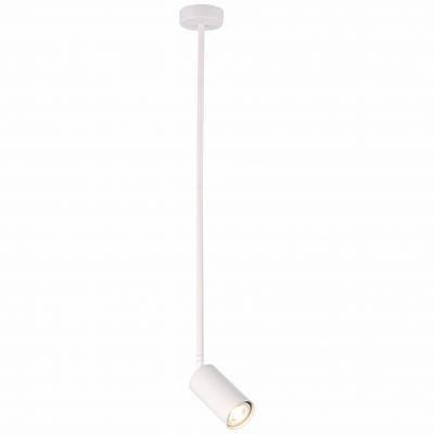Светильник подвесной ST Luce SL1206.503.01
