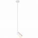 Светильник подвесной ST Luce SL1206.503.01
