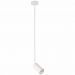 Светильник подвесной ST Luce SL1206.503.01