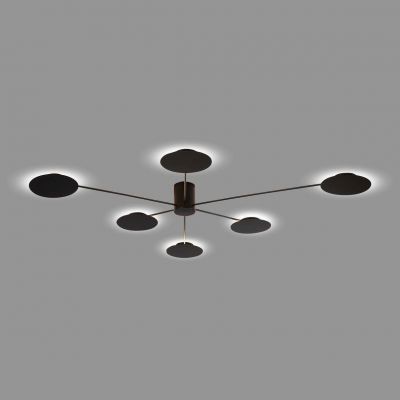 Потолочная светодиодная люстра ST Luce SL6006.402.06