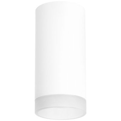 Накладной светильник Lightstar Rullo R648680