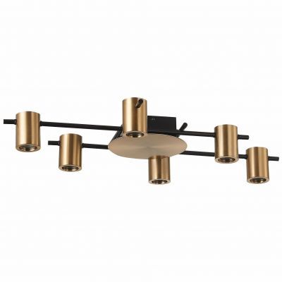 Светильник потолочный ST Luce SL1207.402.06
