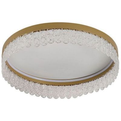 Потолочный светодиодный светильник F-Promo Lunetta 4186-1C