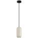 Подвесной светильник Odeon Light COCOON 5060/1G