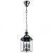 Светильник Arte Lamp A6505SP-3CC