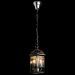 Светильник Arte Lamp A6505SP-3CC