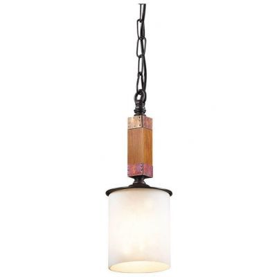 Подвес Odeon Light 2767/1