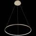 Светильник подвесной ST Luce SL904.213.01
