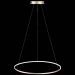 Светильник подвесной ST Luce SL904.213.01
