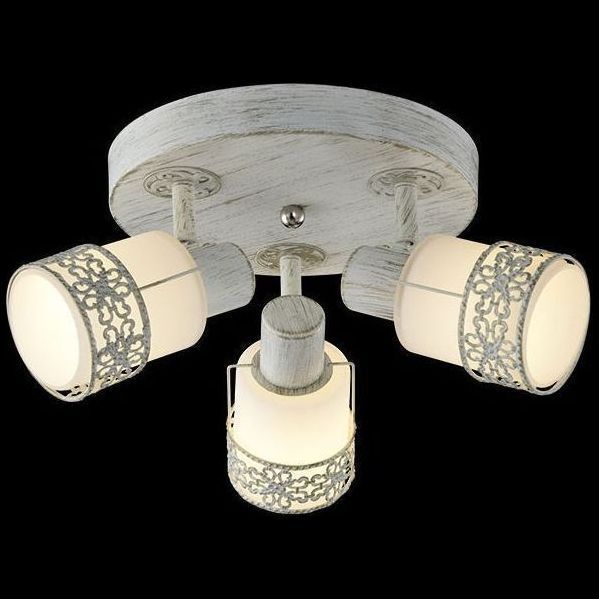 Люстра поворотная Eurosvet 20026/3