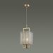 Подвесной светильник Odeon Light 4976/1