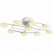 Потолочная светодиодная люстра ST Luce SL921.502.09