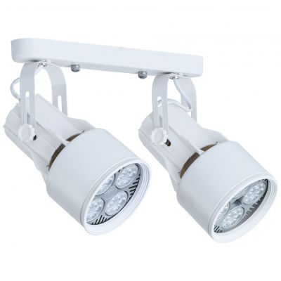Светильник потолочный Arte Lamp A6252PL-2WH