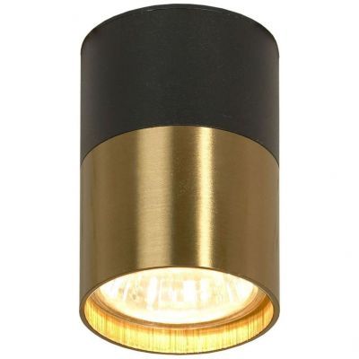 Потолочный светильник Lussole Loft LSP-8555