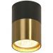 Потолочный светильник Lussole Loft LSP-8555