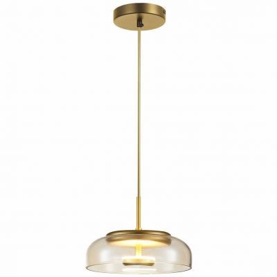 Подвесной светодиодный светильник ST Luce SL6002.203.01