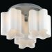 Люстра потолочная ST Luce SL116.502.03
