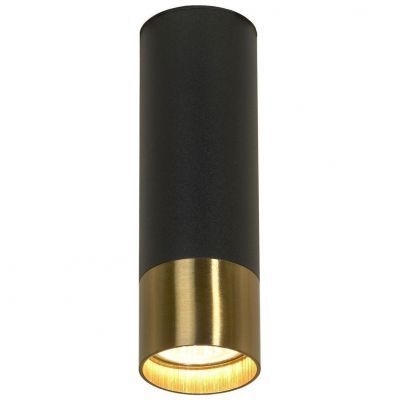 Потолочный светильник Lussole Loft LSP-8556