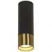 Потолочный светильник Lussole Loft LSP-8556