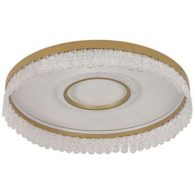 Потолочный светодиодный светильник F-Promo Lunetta 4186-2C