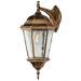 Уличный настенный светильник Arte Lamp Genova A1204AL-1BN