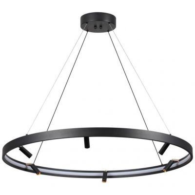 Подвесная светодиодная люстра Odeon Light 4317/93L