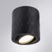 Потолочный светильник Arte Lamp A5559PL-1BK
