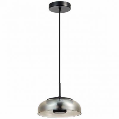 Подвесной светодиодный светильник ST Luce SL6002.403.01